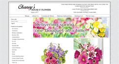 Desktop Screenshot of chaneysflorist.com